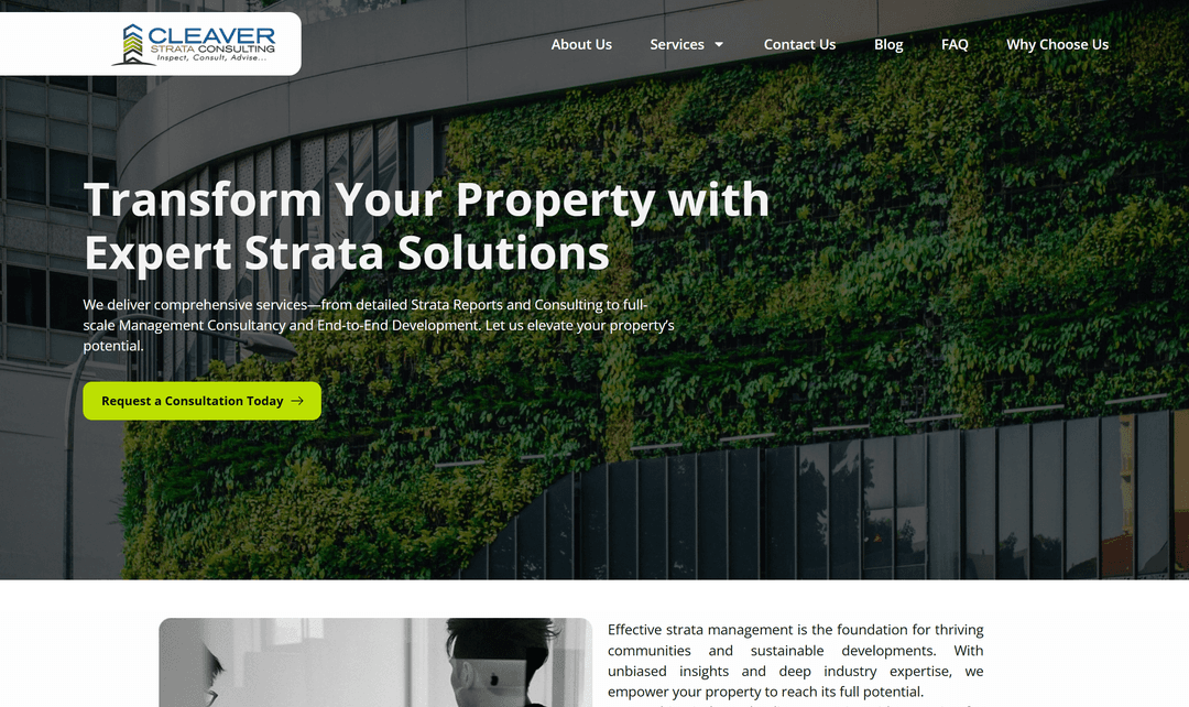 CS Consulting